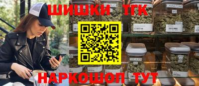 тгк Будённовск